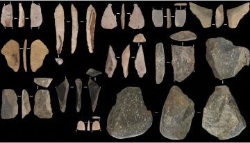 El eslabón perdido de Beringia: los cazadores de bisontes que cruzaron de Asia a América hace 13.800 años