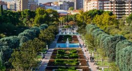 Qué demonios les pasa a las ciudades españolas con los árboles