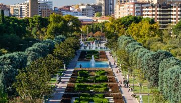 Qué demonios les pasa a las ciudades españolas con los árboles
