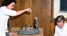 En 1945, EEUU gastó una fortuna intentando crear un «superperro»: 500 cachorros y 13 años después descubrieron el problema
