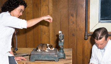 En 1945, EEUU gastó una fortuna intentando crear un «superperro»: 500 cachorros y 13 años después descubrieron el problema