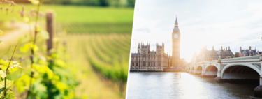 Hay miles de millones de personas preocupadas por el cambio climático, pero hay un grupito que no lo está: los viticultores ingleses  
