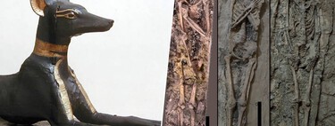 Un hallazgo de hace 2.500 años desconcierta a los arqueólogos: ¿qué hace un perro momificado sobre una pareja en Egipto?
