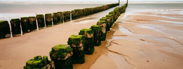 En 2023, veinte camiones cruzaron Países Bajos cargados con 400 toneladas de marisma frisia. Su destino era un canal capaz de fabricar tormentas