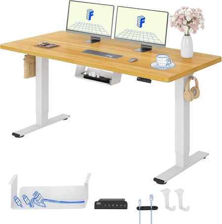 Flexispot Escritorio Elevable Electrico