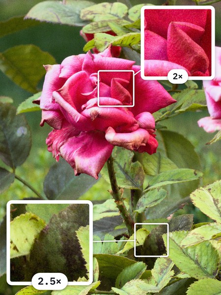 Textura iPhone 18 Pro Max