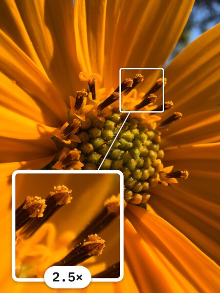 Macro iPhone 18 Pro Max