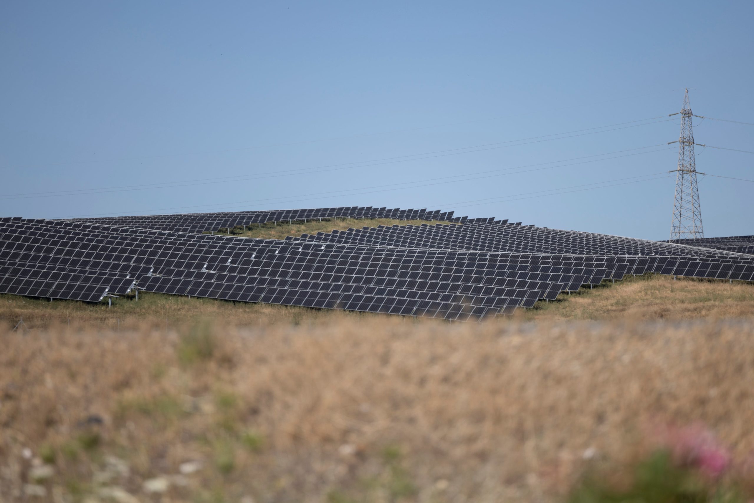 Parque solar en el término municipal de Guillena, Sevilla.