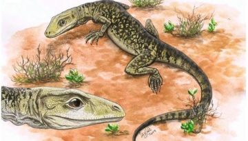 El lagarto moderno ya existía hace 205 millones de años