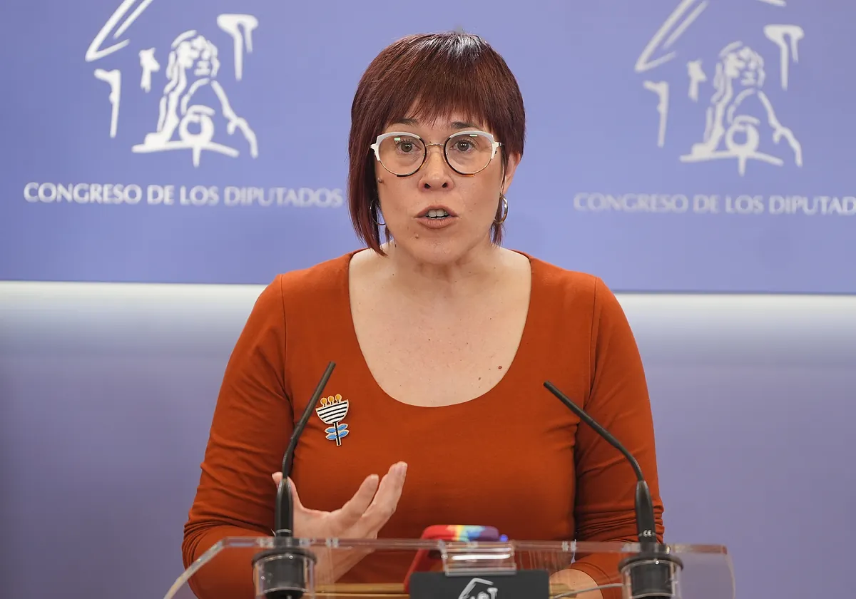 El Constitucional admite a trámite el recurso de Compromís contra la nueva ley educativa de Mazón