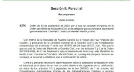 Marlaska concedió a Aldama la medalla al mérito de la Guardia Civil en 2022