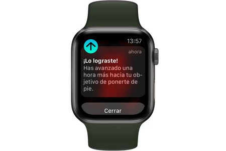 Apple Watch Aviso