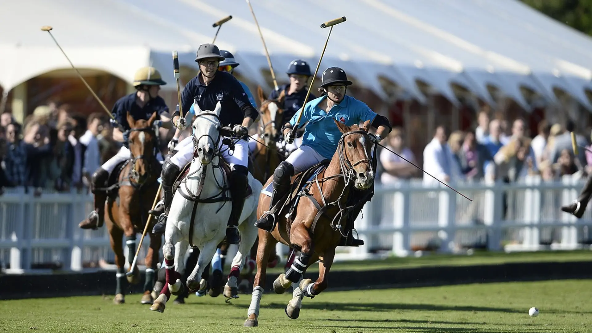 Elementos para la historia. El mazo de polo