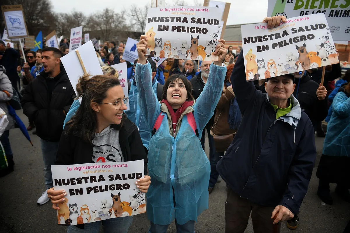 Motín veterinario por el decreto que limita el uso de antibióticos en mascotas: «Tenemos que elegir entre una multa o salvar su vida»