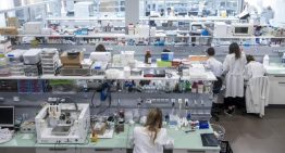 Los generadores de emergencia logran salvar «años de investigación» en los laboratorios españoles: «Podríamos haberlo perdido todo»