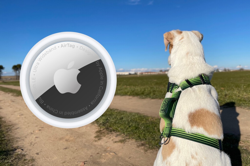 Siempre llevaba a mi perro con un AirTag. Hasta que se escapó en el campo y descubrí su verdadero funcionamiento