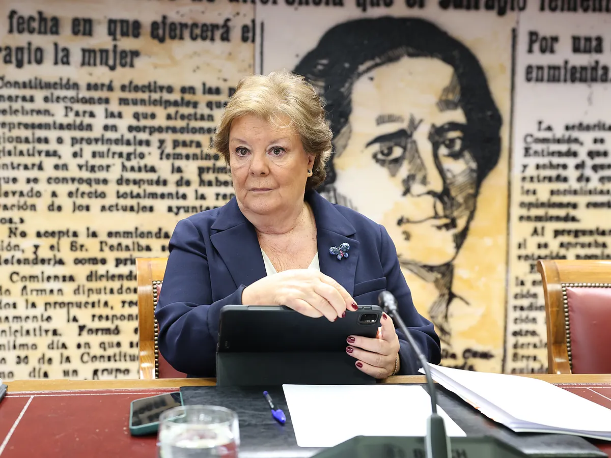 Los consejeros del PSOE del Tribunal de Cuentas lograron derrotar a los del PP con el apoyo del Fiscal para multar a Vox