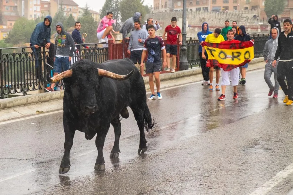 El TSJ tumba el 'nuevo' Toro de la Vega que cambiaba las lanzas por divisas