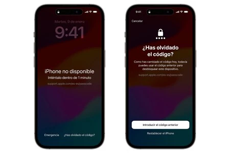 Codigo