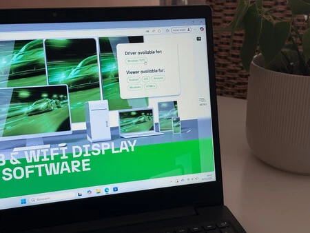 Windows 11