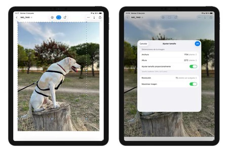 Vista Previa Ipados