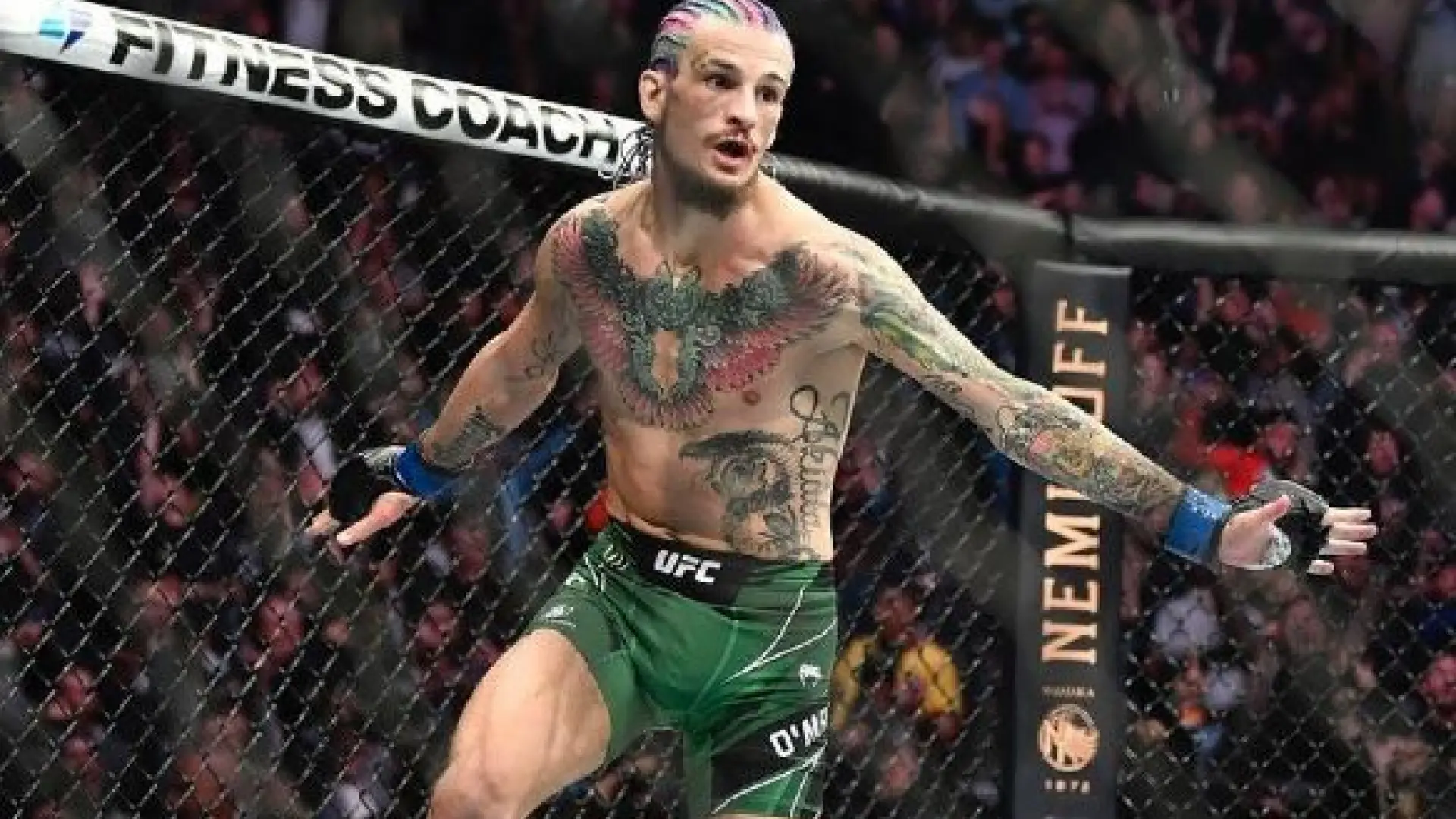 Sean O’Malley, aliviado por no haber peleado finalmente contra Topuria: "Gracias a Dios no aceptó mi reto"