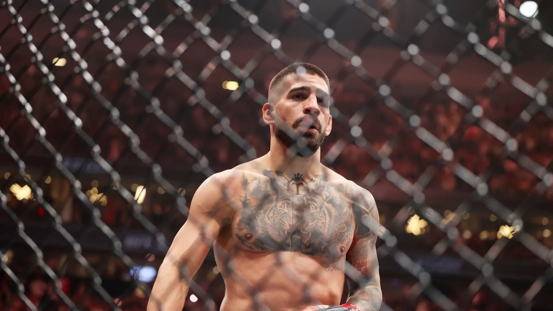El mundo de las MMA se rinde a Topuria: "Es la mayor súper estrella de UFC ahora mismo"