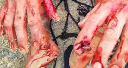 Un brutal secuestro alerta de la radicalización de la guerra de los narcos en el Campo de Gibraltar