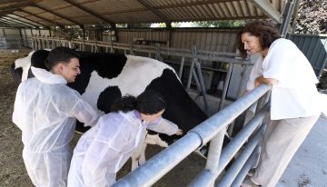 El Gobierno estudia subir de 5 a 6 años la duración de la carrera de Veterinaria para adaptarla a la UE y reducir la «sobrecarga docente»