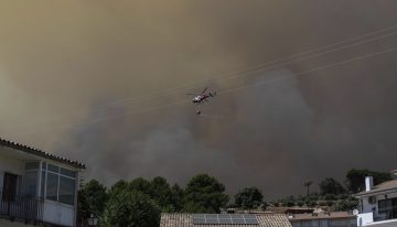 Un virulento incendio revive en Mombeltrán una nueva noche «en vilo» 16 años después: «Nos multan si cogemos níscalos, piñas u orégano… Y mira lo que pasa»