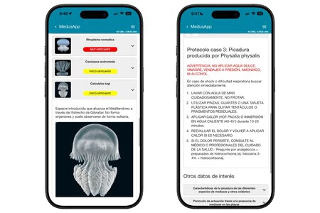 Medusapp 3