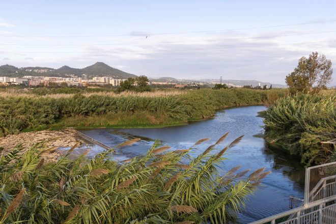 Las aguas residuales revelan un incremento de anfetaminas en Catalunya desde otoño de 2023