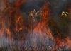 Los expertos ante los incendios del futuro: «Trabajamos con la hipótesis de que todo se va a quemar»