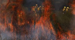 Los expertos ante los incendios del futuro: «Trabajamos con la hipótesis de que todo se va a quemar»
