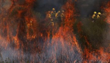 Los expertos ante los incendios del futuro: «Trabajamos con la hipótesis de que todo se va a quemar»