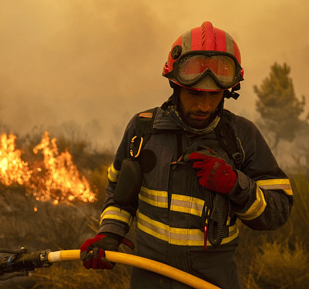 Casi 40 focos y más de 84.000 hectáreas calcinadas en los fuegos descontrolados de Zamora y Ourense