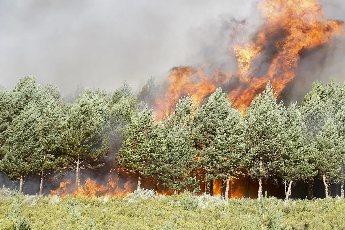 Diez carreteras permanecen cortadas por los incendios, dos de ellas nacionales
