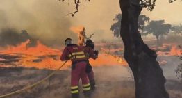 Récord histórico de superficie quemada: las llamas arrasan en 2025 casi 350.000 hectáreas con la mitad de incendios que en 2022