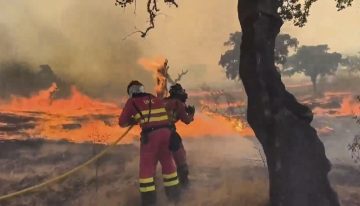 Récord histórico de superficie quemada: las llamas arrasan en 2025 casi 350.000 hectáreas con la mitad de incendios que en 2022