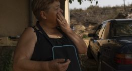 Los dos 'oasis' de vida que se salvaron en Ayoó, devorado por el fuego de Molezuelas