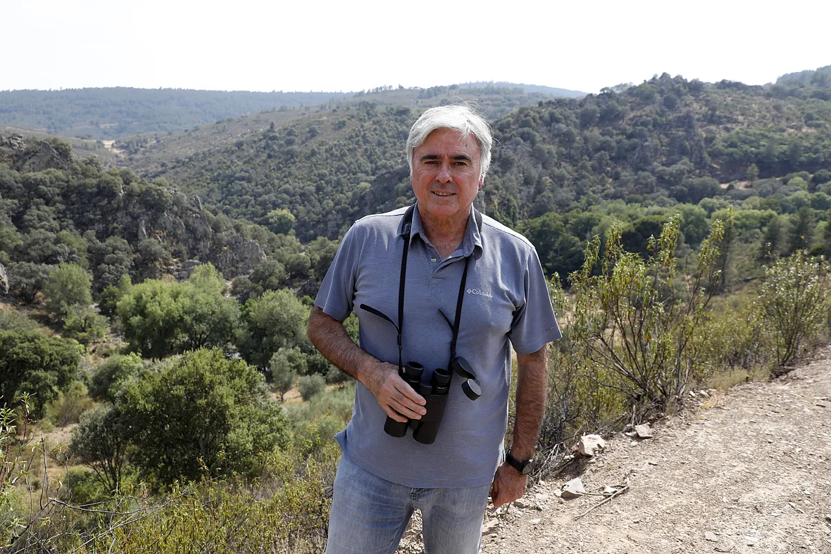 Experto forestal: «Estos incendios no se pueden apagar, son bombas atómicas y los hidroaviones les hacen cosquillas»