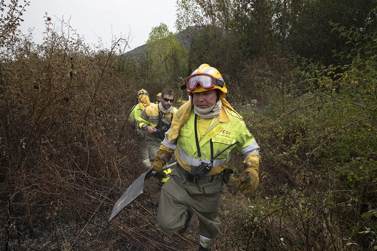 Una década detrás de la categoría de bombero forestal: «¿Cómo justifica alguien que lleva 30 años en incendios si ha sido peón de caza?»