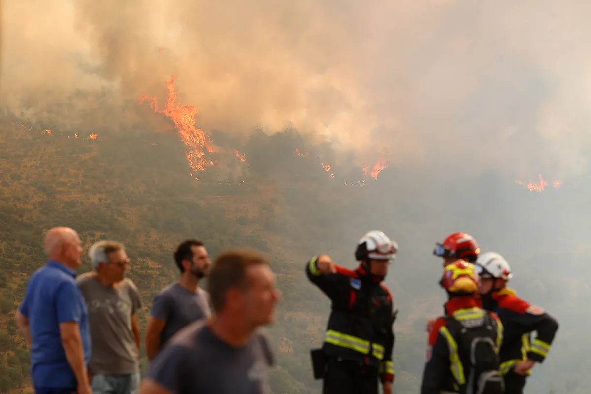 La recuperación tras el fuego: «No volveremos a tener bosques en décadas, pero especies como las encinas y los pinos pueden regenerarse de forma natural»