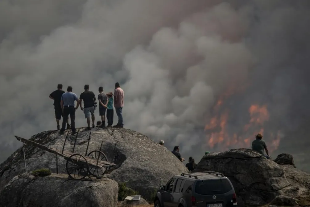 Heridos graves dos militares enviados a la extinción del incendio en Ourense  al chocar su vehículo con otro que transportaba ganado
