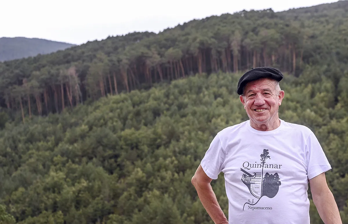 ¿Por qué Pinares, la comarca más forestal de España, está vacunada contra los incendios? El milagro de una costumbre medieval