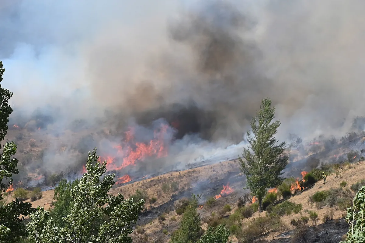Así está la situación de los incendios en Castilla y León, Galicia y Asturias hoy, viernes 29 de agosto
