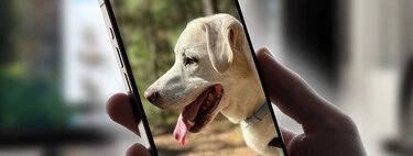He aplicado el consejo de un extrabajador de Google para usar menos el iPhone: vaciar por completo su pantalla de inicio 