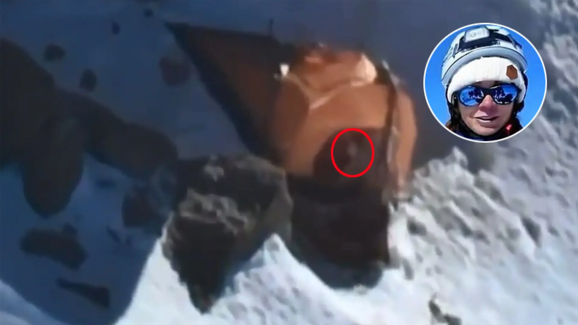 El vídeo al que se aferra el hijo de Natalia Nagovitsyna para confiar en que la alpinista rusa sigue con vida