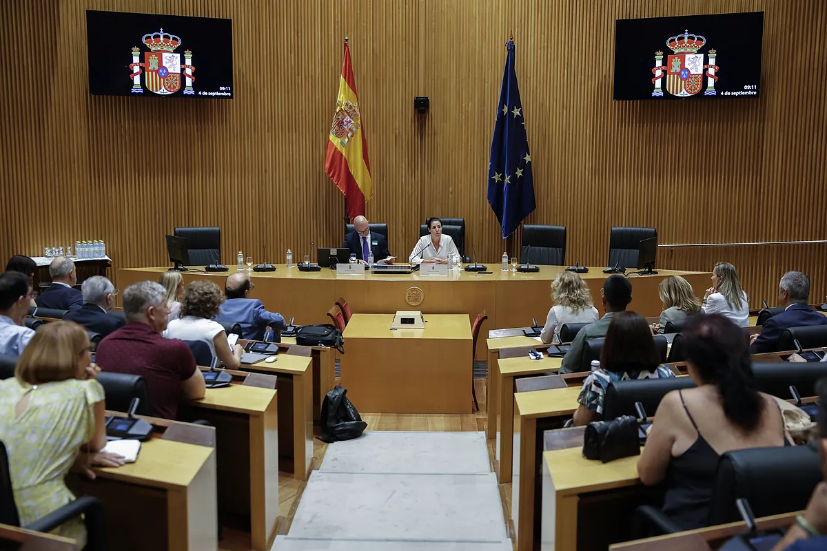 Vox da voz en el Congreso al discurso negacionista de la violencia de género e insiste en la «correlación» entre inmigración irregular y delitos sexuales