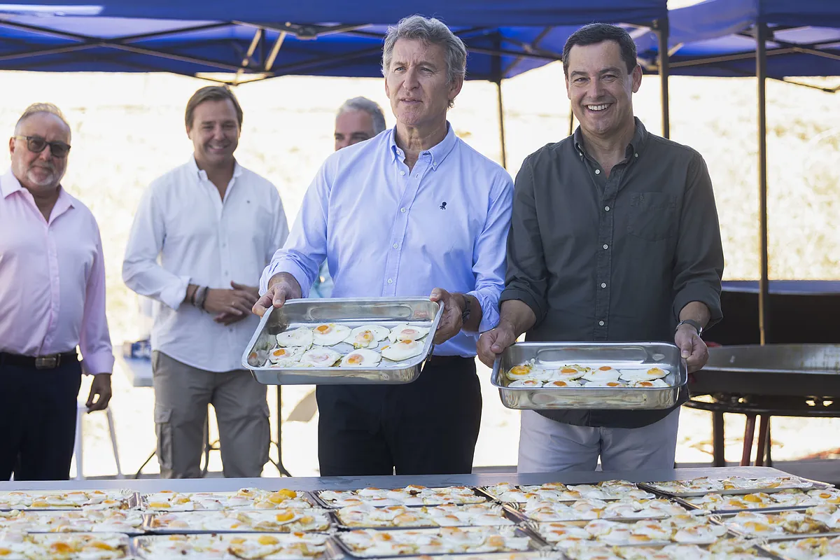 Feijóo coge fuerzas en Málaga para «preparar a España para el cambio»: «Donde hoy hay puteros y tuiteros entrarán los servidores públicos»